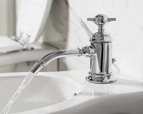 Bidet Taps - TAP 'N' SHOWER