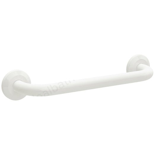Bathex Professional Stainless Steel Grab Rail 450mm - White - 30800C - TAP 'N' SHOWER
