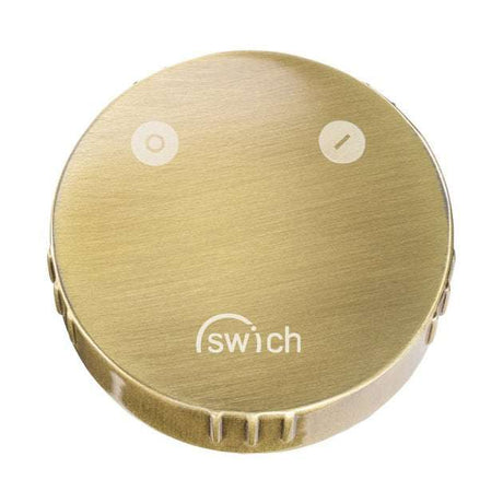 Abode Swich round handle brushed brass diverter valve with high resin filter for shower systems