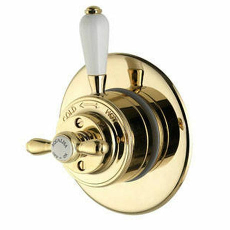 Aqualisa Aquatique Thermo Concealed Mixer Shower Valve - Gold - 500.00.04 - TAP 'N' SHOWER