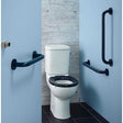 Armitage Shanks Close Coupled Toilet Contour 21 Ambulant Blue Doc M Pa