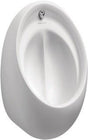 Armitage Shanks Contour 21 Concealed Hygeniq Urinal - White - S611901 - TAP 'N' SHOWER
