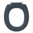 Armitage Shanks Contour 21 Standard Close Toilet Seat - Charcoal - S4066RN - TAP 'N' SHOWER