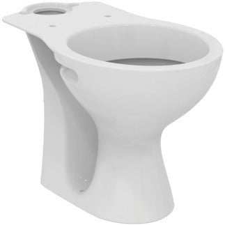 Armitage Shanks Sandringham 21 white vitreous china close coupled toilet pan with horizontal outlet