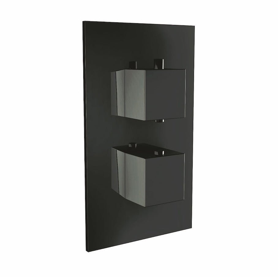 Scudo Dual Handle 1 Outlet Concealed Shower Valve - Black - BLACK001ORBL - TAP 'N' SHOWER