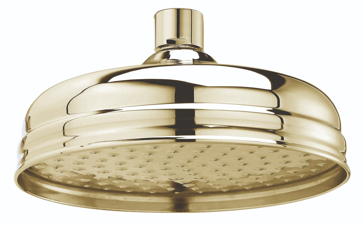 Launde Abbey Victrion 8" Fixed Shower Head - Gold - TAP 'N' SHOWER