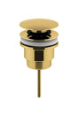 Nuie Universal Push Button Basin Waste - Brushed Brass - EK810 - TAP 'N' SHOWER