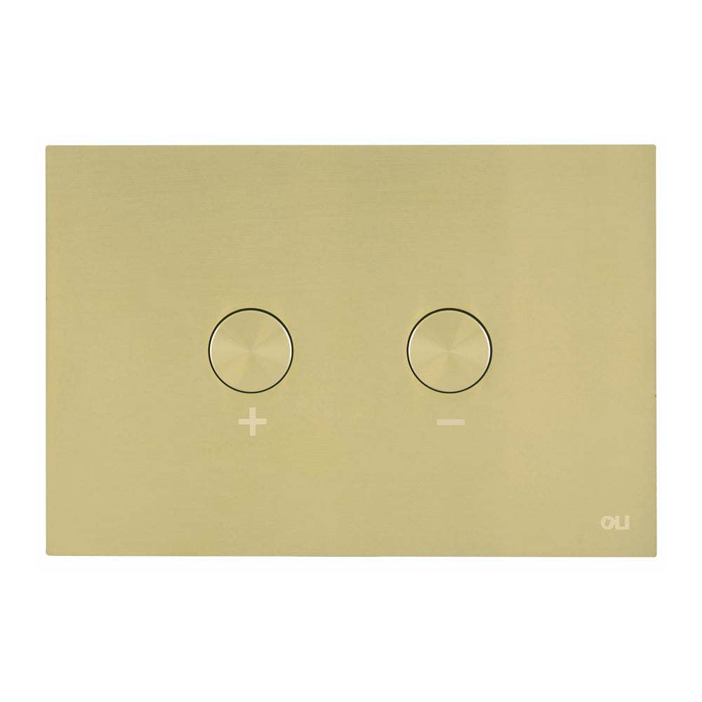 JTP Steel Pneumatic brushed brass flush plate with dual button design and durable steel construction for modern bathrooms
