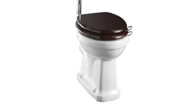 Burlington White Low Level & High Level WC Pan - P2 - TAP 'N' SHOWER