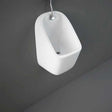 RAK Series Modern 600 Wall Hung Urinal 310mm Wide - White - S600URCT