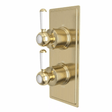 Tavistock Lansdown Dual Function Shower Valve - Brushed Brass - SLD1604 - TAP 'N' SHOWER