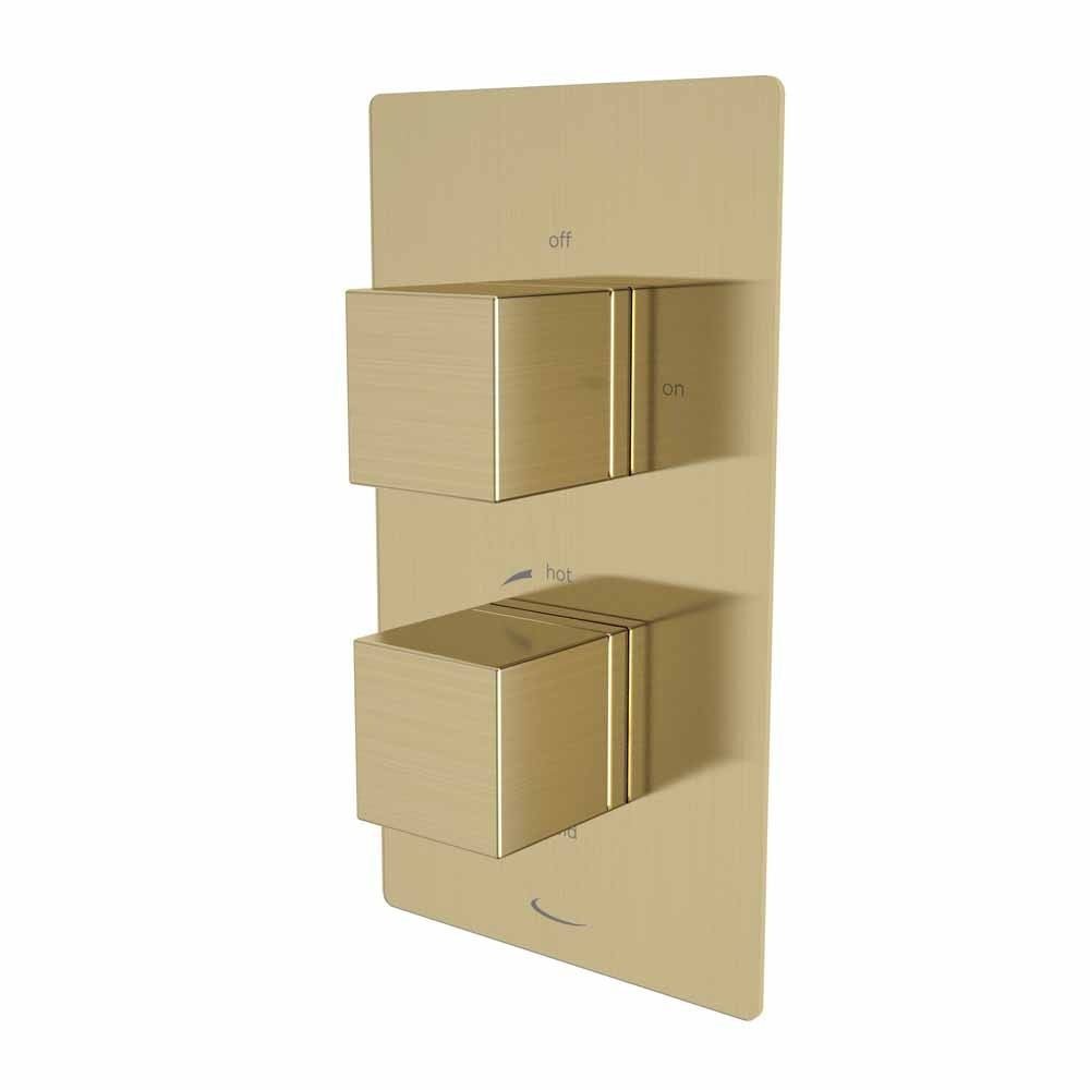 Tavistock Index Dual Function Shower Valve - Brushed Brass - SND1615 - TAP 'N' SHOWER