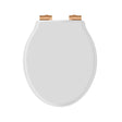 Launde Abbey Victrion White Matt Toilet Soft Close Seat - Brushed Gold - TAP 'N' SHOWER