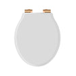 Launde Abbey Victrion White Matt Toilet Soft Close Seat - Copper - TAP 'N' SHOWER