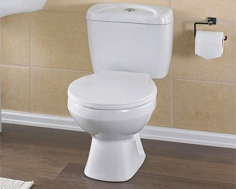 Premier Toilets & Bidets - TAP 'N' SHOWER