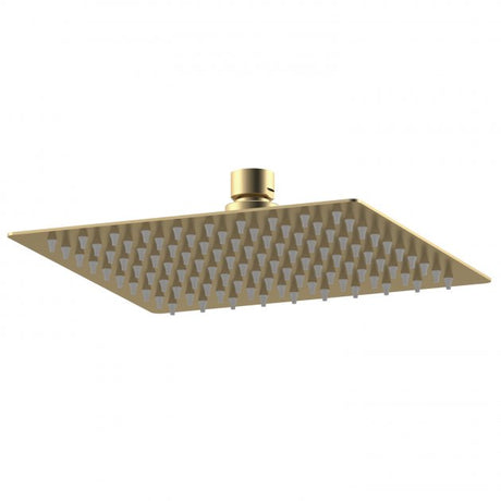 Nuie Fixed Shower Heads - TAP 'N' SHOWER