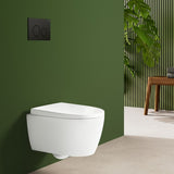 Geberit Sigma40 Round WC Dual Flush Plate - Black Glass - 115.628.SJ.1 - TAP 'N' SHOWER
