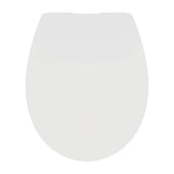 Armitage Shanks Universal Soft Close Toilet Seat and Cover - White - E131801