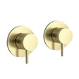 Pair of wall mounted brushed brass side valves with ergonomic handles and modern design