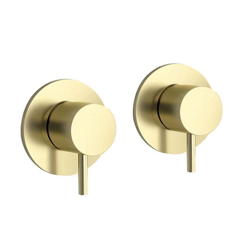 Pair of wall mounted brushed brass side valves with ergonomic handles and modern design
