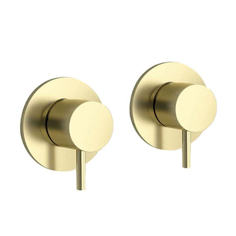 Pair of wall mounted brushed brass side valves with ergonomic handles and modern design