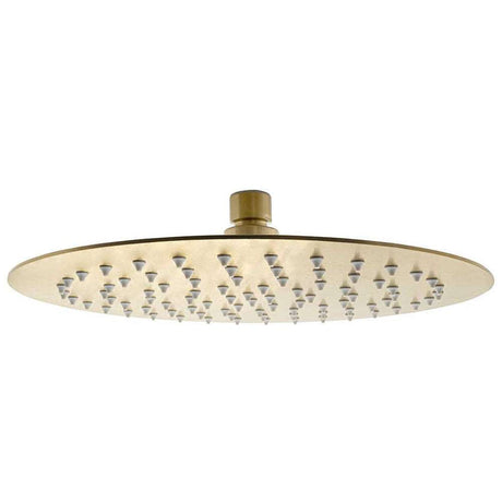 JTP Vos 250mm round brushed brass shower head with silicone nozzles and water-saving feature