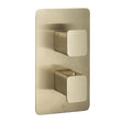 JTP Hix Twin Outlet thermostatic concealed shower valve in brushed brass finish with dual controls for precise temperature and dual shower outlet use