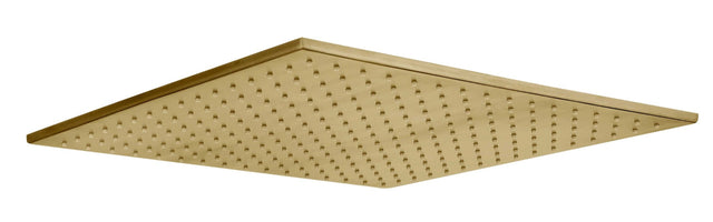 JTP HIX Shower Head Ceiling Mounted - Brushed Brass - 33CM400BBR