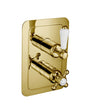 JTP Grosvenor Lever Thermostatic 2 Outlet Shower Valve - Antique Brass - 85671G