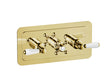 JTP Grosvenor Lever Thermostatic 2 Outlet Shower Valve - Antique Brass - 85693G