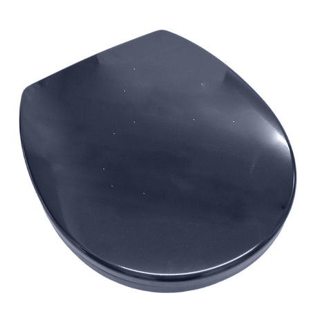 Armitage Shanks Contour 21 Toilet Seat and Cover - Blue - S406536