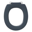 Armitage Shanks Contour 21 Standard Close Toilet Seat - Charcoal - S4066RN