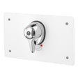 Armitage Shanks CTV Concentric Control Thermostatic Shower - Stainless Steel - S6933MY - TAP 'N' SHOWER