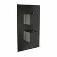 Scudo Dual Handle 1 Outlet Concealed Shower Valve - Black - BLACK001ORBL