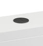 Britton Cistern Flush Button - Brushed Brass - BRBMB1