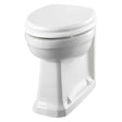 Burlington Standard 480mm Projection back to wall white ceramic toilet without seat