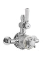 Launde Abbey Victrion Single Outlet Twin Thermostatic Exposed Valve - Brushed Chrome - TAP 'N' SHOWER