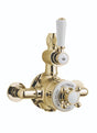 Launde Abbey Victrion Single Outlet Twin Thermostatic Exposed Valve - Gold - TAP 'N' SHOWER