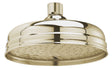 Launde Abbey Victrion 8" Fixed Shower Head - Brushed Gold - TAP 'N' SHOWER