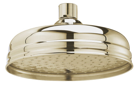 Launde Abbey Victrion 8" Fixed Shower Head - Brushed Gold - TAP 'N' SHOWER
