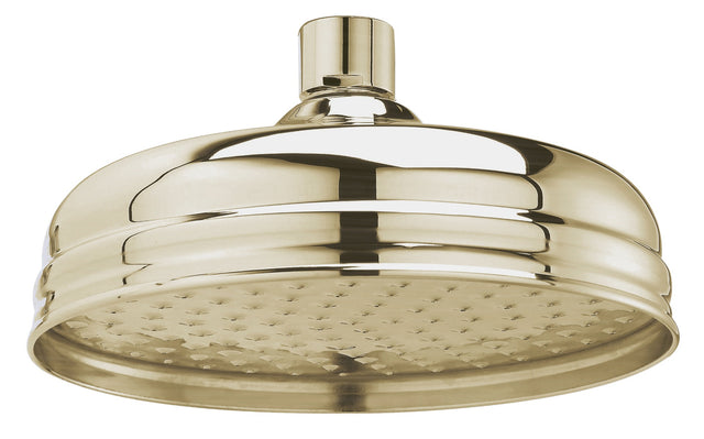 Launde Abbey Victrion 8" Fixed Shower Head - Brushed Gold - TAP 'N' SHOWER