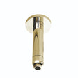 Launde Abbey Victrion Ceiling Mounted Shower Arm - Gold