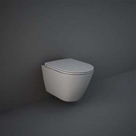RAK Feeling Soft Close Toilet Seat and Cover - Matt Grey - FEESEAT503