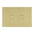 JTP Steel Pneumatic brushed brass flush plate with dual button design and durable steel construction for modern bathrooms