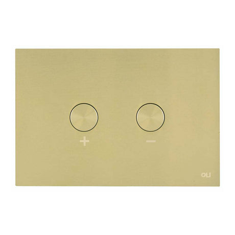JTP Steel Pneumatic Brushed Brass Flush Plate - FPBBR