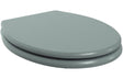 Prystine Mesquite Soft Close Wood Effect Toilet Seat - Sea Green Ash - PRIS2607