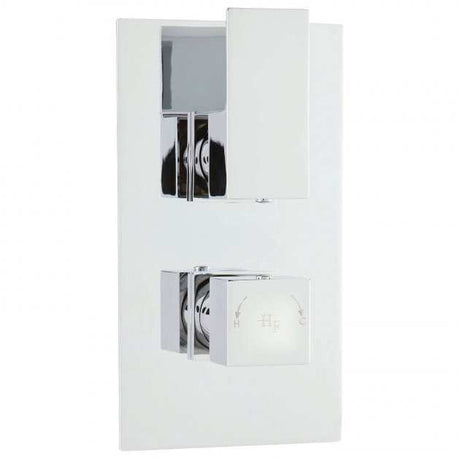 Hudson Reed Dual Handle Art Concealed Thermostatic Shower Valve with D