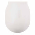 Ideal Standard Connect Air Toilet Seat and Cover - White - E080901