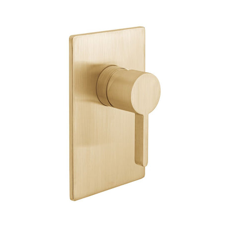 Vado Edit 1 Outlet Manual Shower Valve - Brushed Gold - IND-EDI145A-BRG