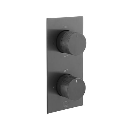 Vado Accents 2 Outlet Thermostatic Shower Valve with All-Flow Function - Brushed Black - IND-T148/2-BLKK